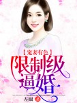 名门暖婚之追妻攻略