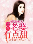 婚期100天：重生老婆有点甜