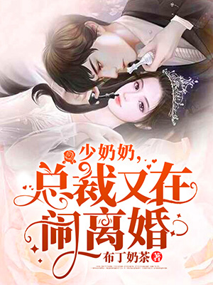 少奶奶，总裁又在闹离婚